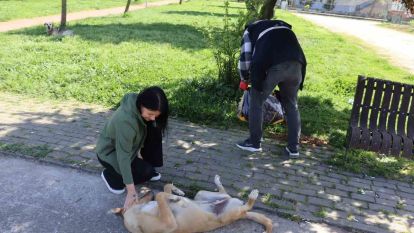 Sokak hayvanlarını unutmadılar