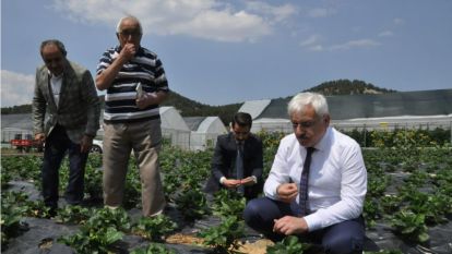 Mudurnu'da istihdam için ‘Hünerli Eller Projesi'