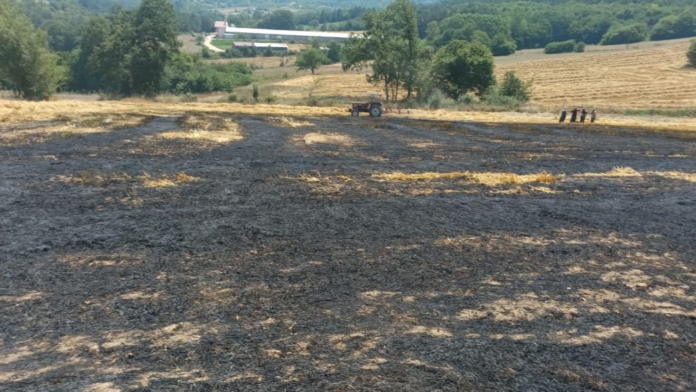 Balya yapılmayı bekleyen buğday sapları alev alev yandı