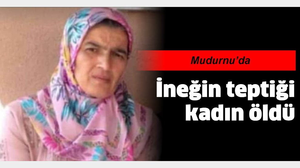 İneğin teptiği kadın öldü