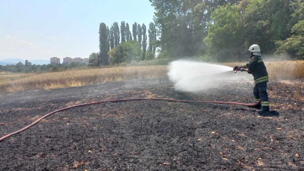 Kopan elektrik kablosu 1 buçuk dönüm buğday tarlasını küle çevirdi