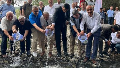 Bolu'da yetişiyor, ülkenin dört bir yanına gönderiliyor