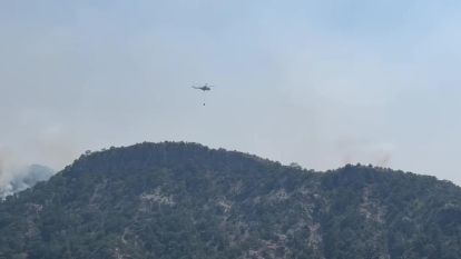 Bolu'daki orman yangını 3'ncü gününde