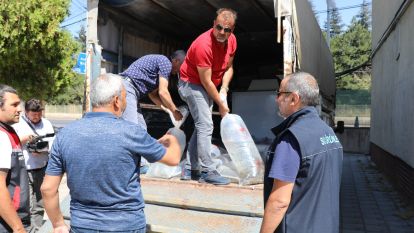 Bolu'dan, Eskişehir ve Sakarya'ya gönderildi. Tam 1 milyon 105 tane. Hepsi Sakarya'da her yere bırakılacak