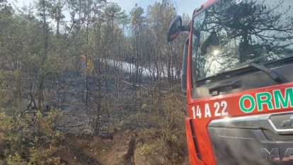 Bolu'da orman yangını kontrol altına alındı