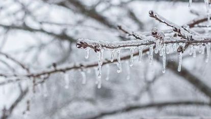 Meteorolojiden Bolu için zirai don uyarısı