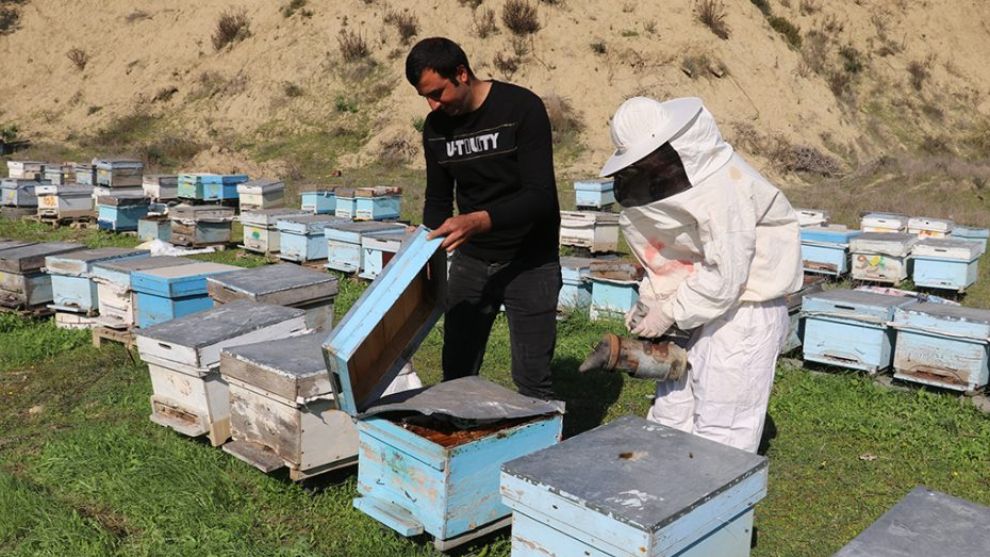 Arılı Kovan Destekleme başvuruları başladı