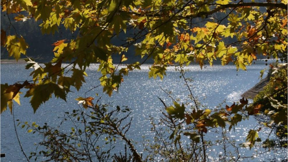 Bolu'daki en büyük orman yangınında tarihi rol oynamıştı: Kuraklık orayı da vurdu