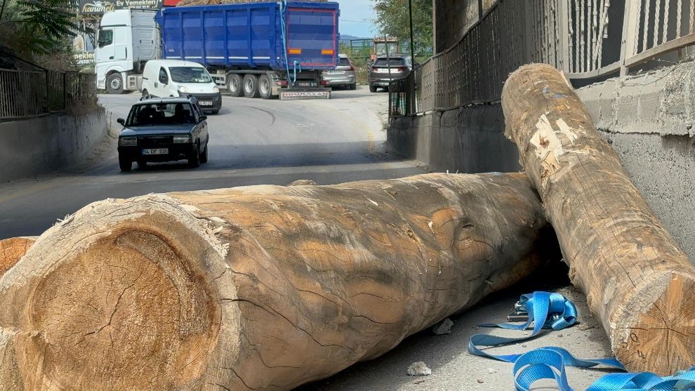 Tır alt geçitten geçerken tomrukları yola düşürdü