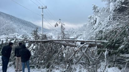 Ağaç devrildi, tatilciler yolda kaldı