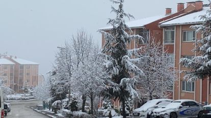 Kar yağışı Bolu'yu esir alacak