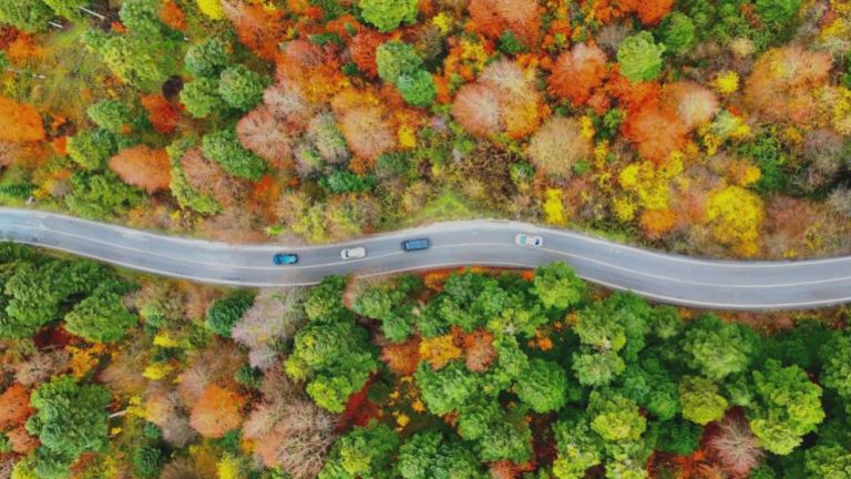 Gölcük Tabiat Parkı'nda mest eden sonbahar görüntüsü