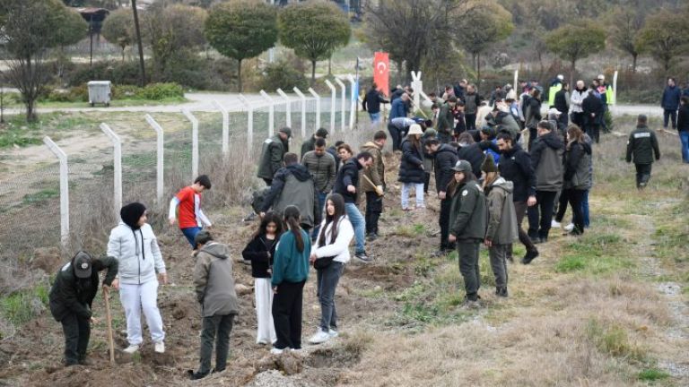 Mengen'de fidanlar toprakla buluştu