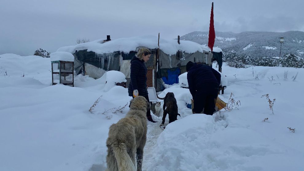 SOĞUK HAVALARDA SOKAK HAYVANLARINI UNUTMADILAR