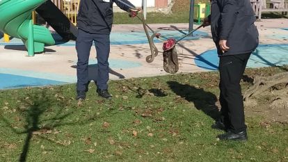 Bolu'da çocuk parkında görülen yılan yakalandı