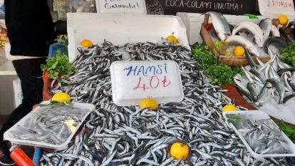 HAMSİ BİR HAFTADA 50 LİRA BİRDEN DÜŞTÜ, VATANDAŞ AKIN ETTİ