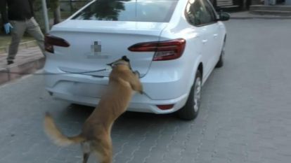 Uyuşturucu taciri 4 sanığa 51 yıl mahpus cezası