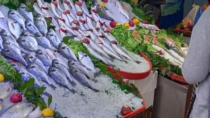 Vitamini Mevsiminde Saklı! Bu Aylarda Hangi Balığı Nasıl Tüketmeliyiz?