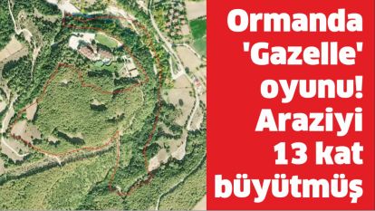 Ormanda ‘Gazelle' oyunu! Araziyi 13 kat büyütmüş