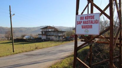 Bolu'da Şap Alarmı: 2 Köy Karantinaya Alındı