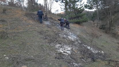 Çobanın müdahalesi faciayı önledi