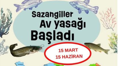 İç Sularda Sazangiller Av Yasağı Başladı.