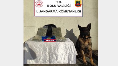 Jandarma 2 kilo 264 gram Skunk Uyuşturucu Madde Ele geçirdi.