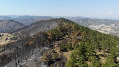 5 milyondan fazla fidan toprakla buluşacak