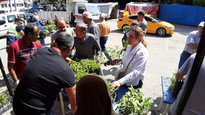 Mudurnu'da 108 bin fide dağıtıldı,
