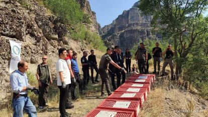 Solaklar Köyü'nde Doğaya Keklik Salımı Gerçekleştirildi