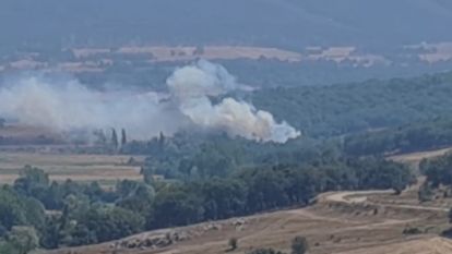 Havadan ve Karadan Müdahale ile Kontrol Altına Alındı