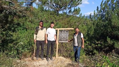 Bolu'da yanan ormanlık alanlara feromon tuzakları asıldı