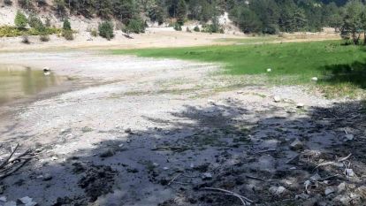 Orman yangınında kritik rol oynayan gölet, can çekişiyor