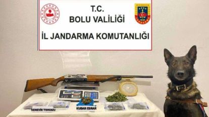 Esrar kaçakçılarına Jandarma göz açtırmıyor…