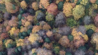 Bolu'da ormanlık alanlarda sonbahar güzelliği