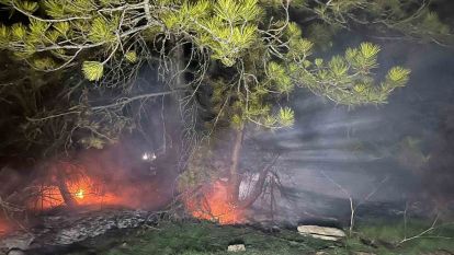 Bolu'da ormanlık alanda yangın