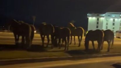 ÖNLEM ALINMALI!
