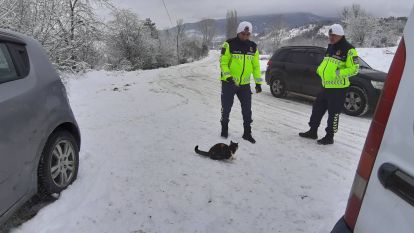 Soğuk Havada Bir Canı Yalnız Bırakmadılar
