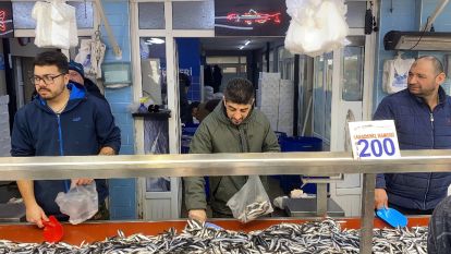 Bolu'da hamsi bolluğu sürüyor: Kilosu 200 liradan rağbet gördü