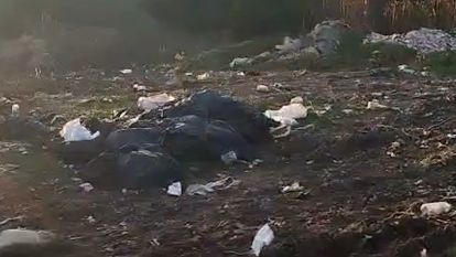 Vatandaşların kirlettiği ormanlık alanı muhtar temizledi