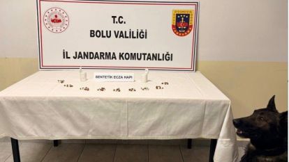 Bolu'da jandarmadan uyuşturucu operasyonu: 1 tutuklama