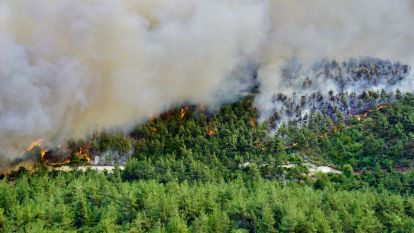 Bolu dahil 47 ilde ormanlara giriş yasaklandı