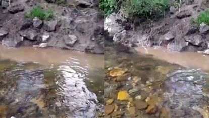 Bolu'da kanalizasyon sularının dereye karışmasına tepki