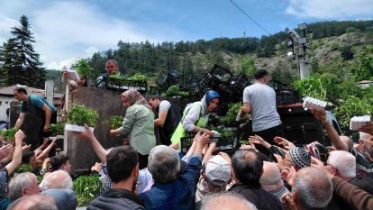 Bolu'da ücretsiz fide dağıtımına yoğun katılım