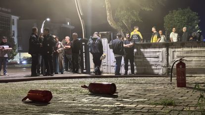 Evin kedisi telef oldu