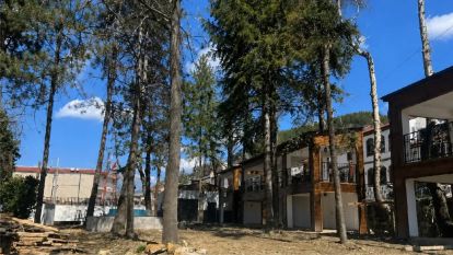 Yıkım iddiaları yalanlandı, peyzaj ihalesi bu hafta başlıyor