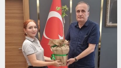 Bolu fındığına aşılı ziraat fındığı üretimi...