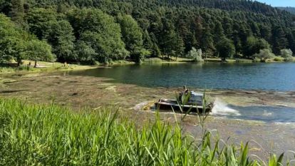 Bolu'nun doğa harikası Gölcük Tabiat Parkı'nın göl yüzeyi temizleniyor