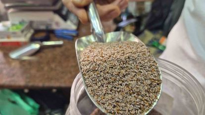 'Karnıyarık otu tohumu' oldu