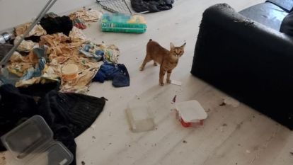 Komşuları taşınmak zorunda bırakan koku ihbarında şoke eden manzara
